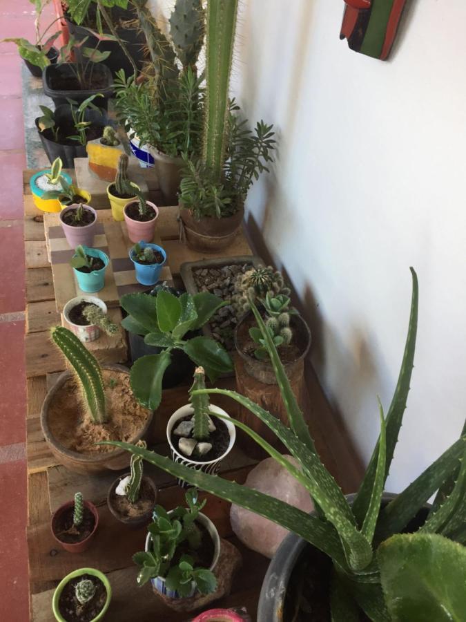 Hostel 35 Canoa Quebrada Eksteriør bilde